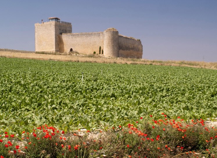 Castillo de Villavelid (s. XV), Spain